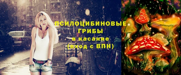 СК Алексин