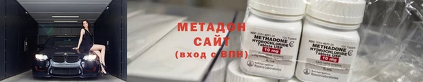 прущие грибы Алзамай