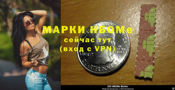 прущие грибы Алзамай
