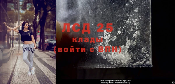 прущие грибы Алзамай