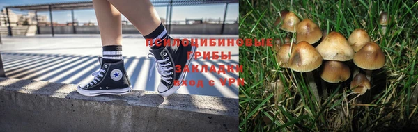 СК Алексин