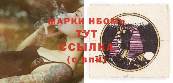СК Алексин
