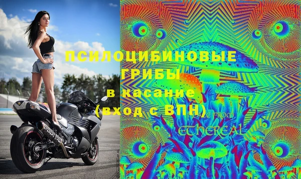 spice Алексеевка